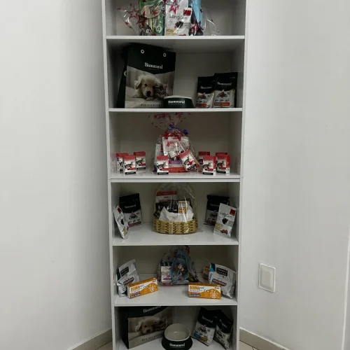 IMG_0954